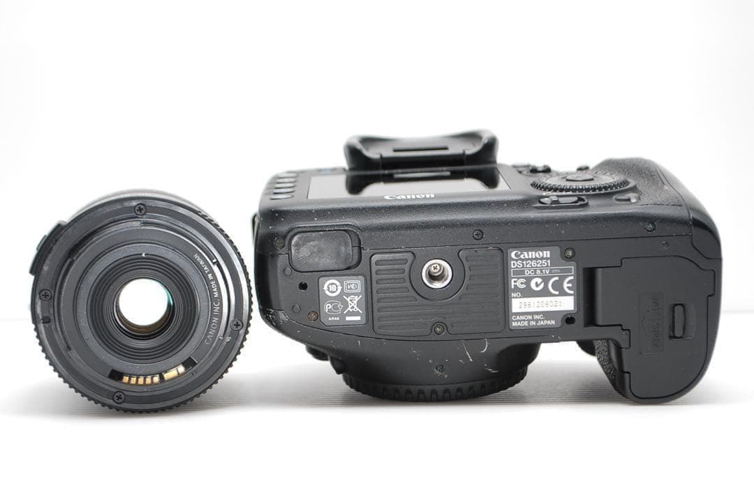 Canon Digital Slrs Eos 7D