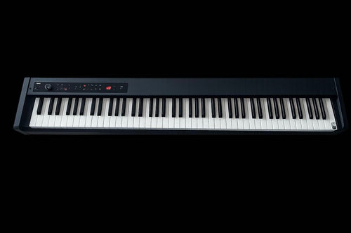 Korg Keyboards Digital Pianos D1