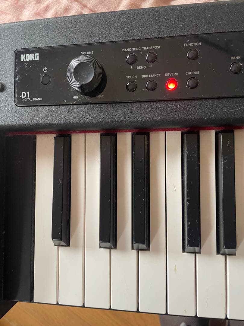Korg Keyboards Digital Pianos D1