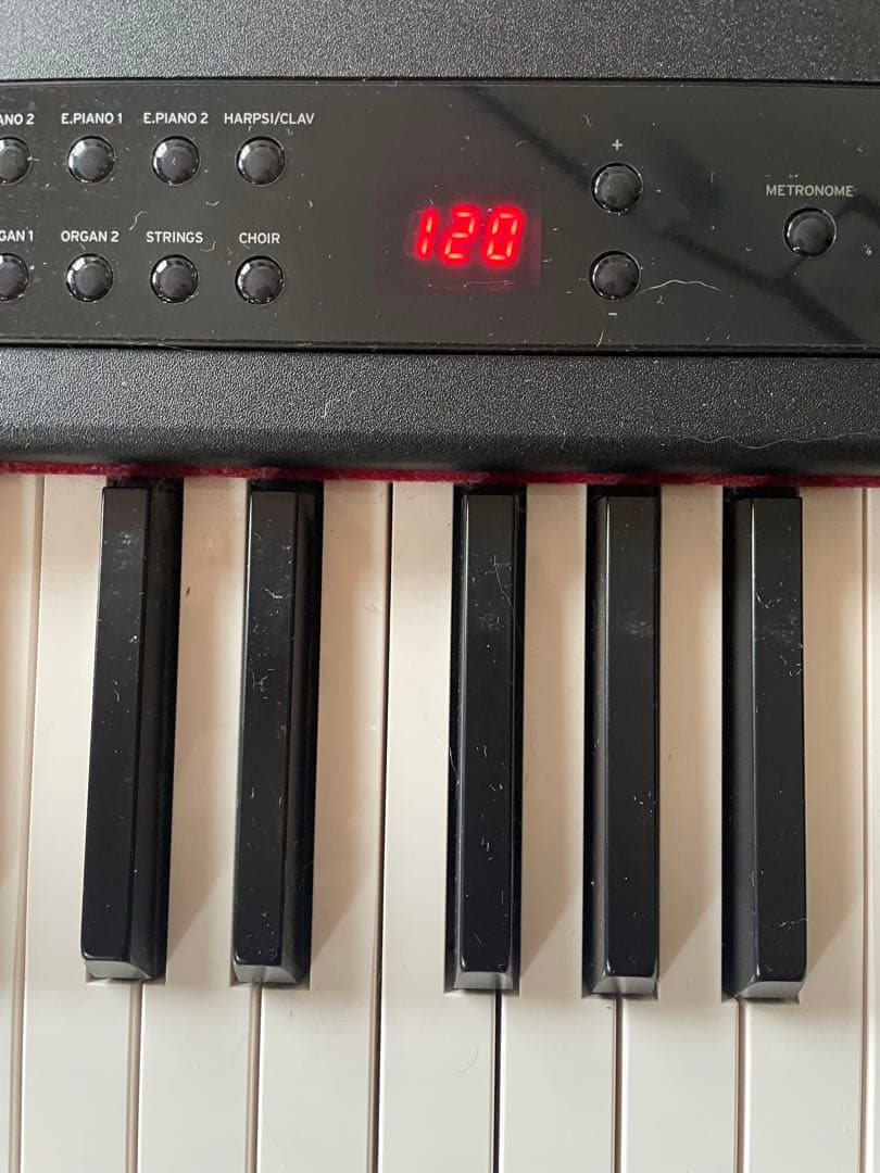 Korg Keyboards Digital Pianos D1