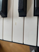 Korg Keyboards Digital Pianos D1