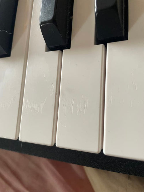 Korg Keyboards Digital Pianos D1