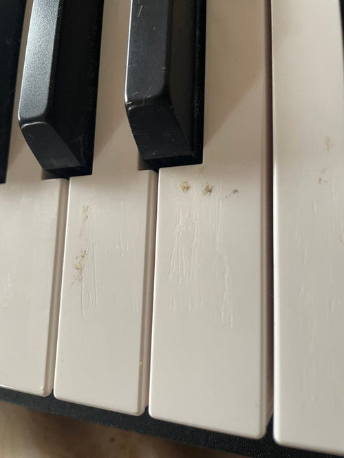 Korg Keyboards Digital Pianos D1
