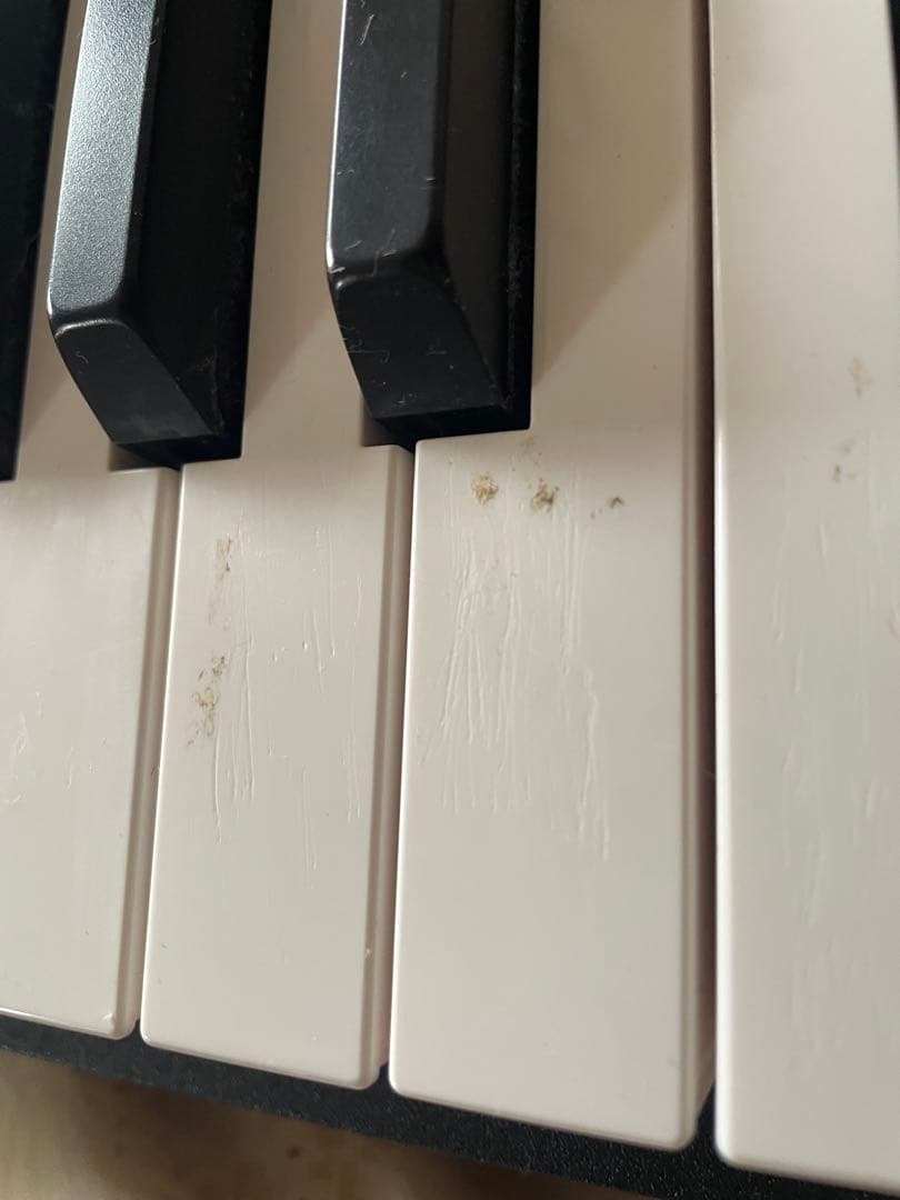 Korg Keyboards Digital Pianos D1