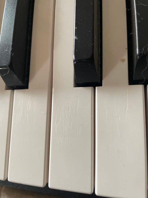 Korg Keyboards Digital Pianos D1