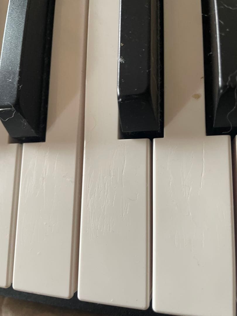 Korg Keyboards Digital Pianos D1