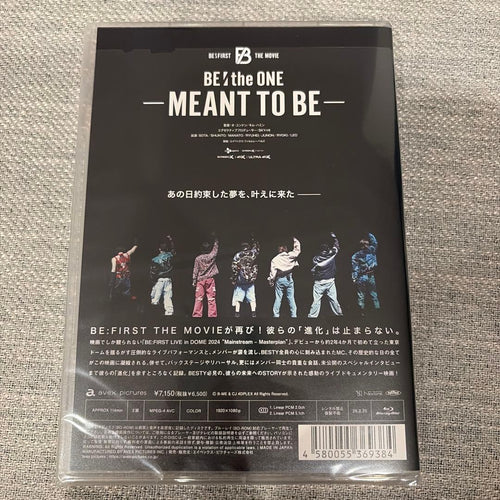 Japanese Movies Be:The One-Meant To Be (Blu-Ray)
