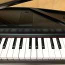 Korg Keyboards Digital Pianos E214 Micropiano 61 2015