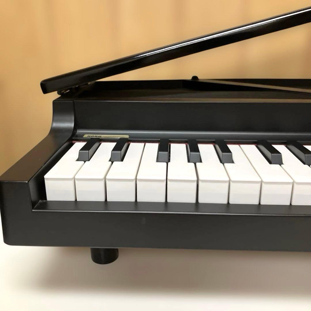 Korg Keyboards Digital Pianos E214 Micropiano 61 2015