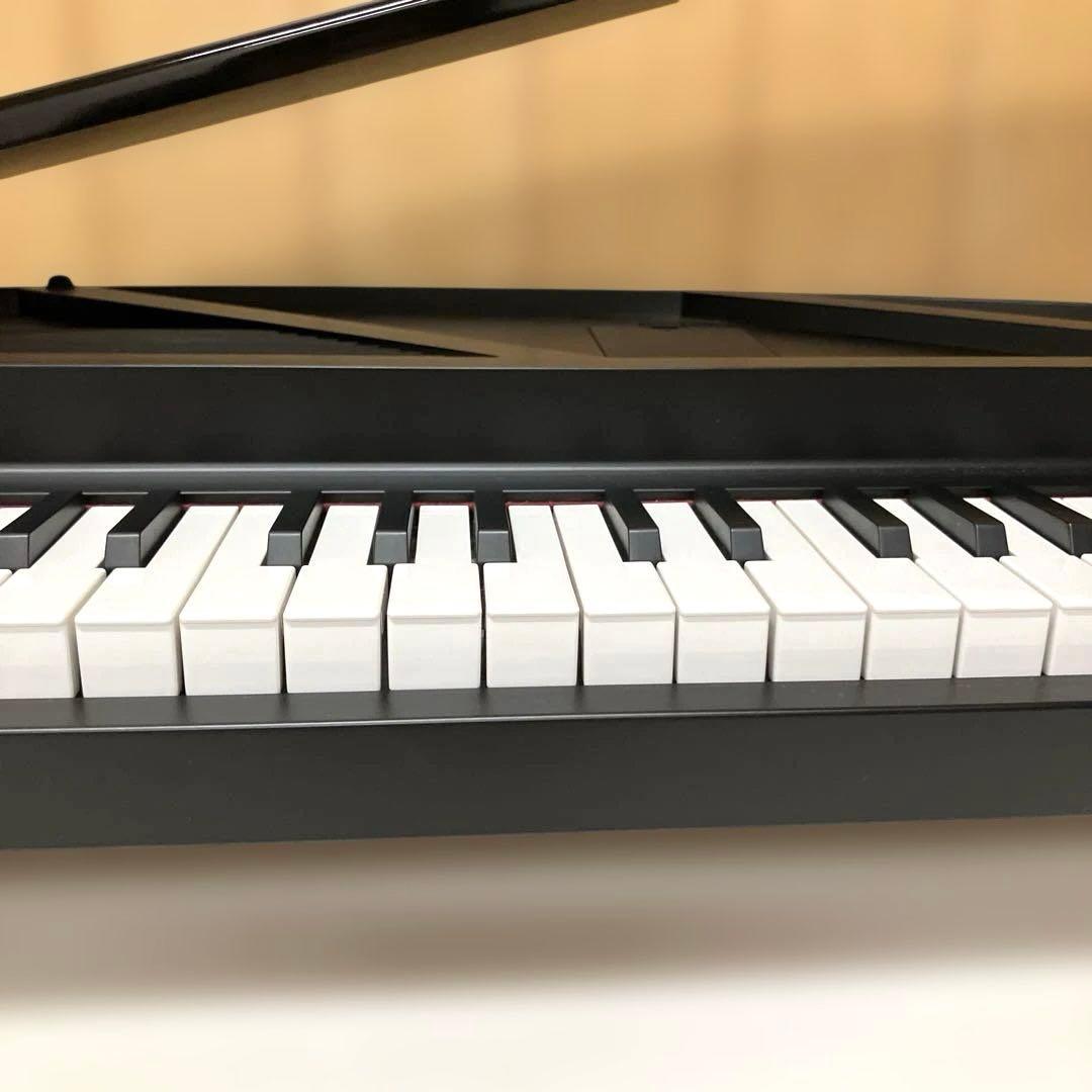 Korg Keyboards Digital Pianos E214 Micropiano 61 2015