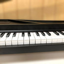 Korg Keyboards Digital Pianos E214 Micropiano 61 2015