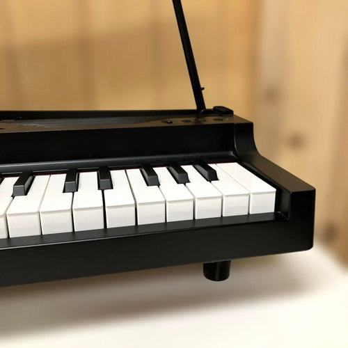 Korg Keyboards Digital Pianos E214 Micropiano 61 2015