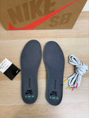 Nike Sb Zapatillas Dunk Low Pro "Vx1000 Camcorder"