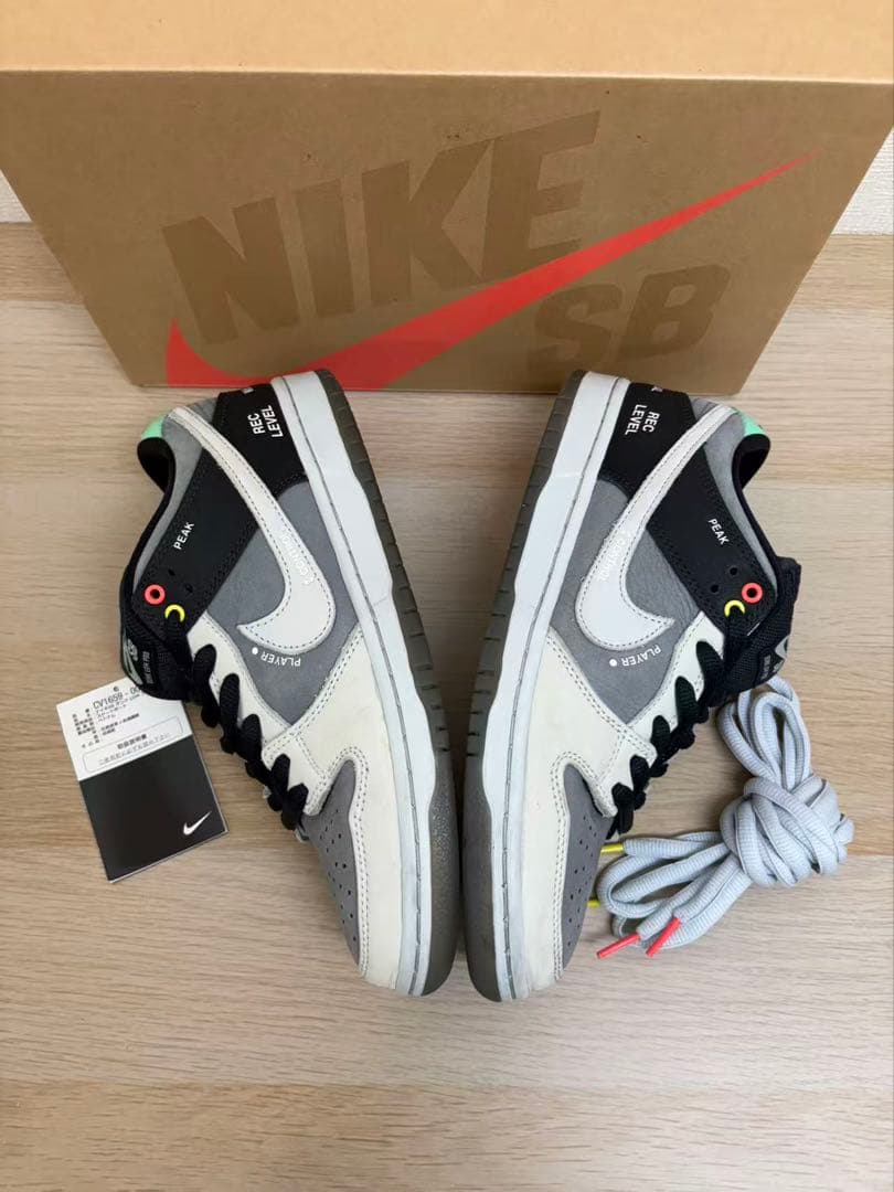 Nike Sb Sneakers Dunk Low Pro "Vx1000 Camcorder"