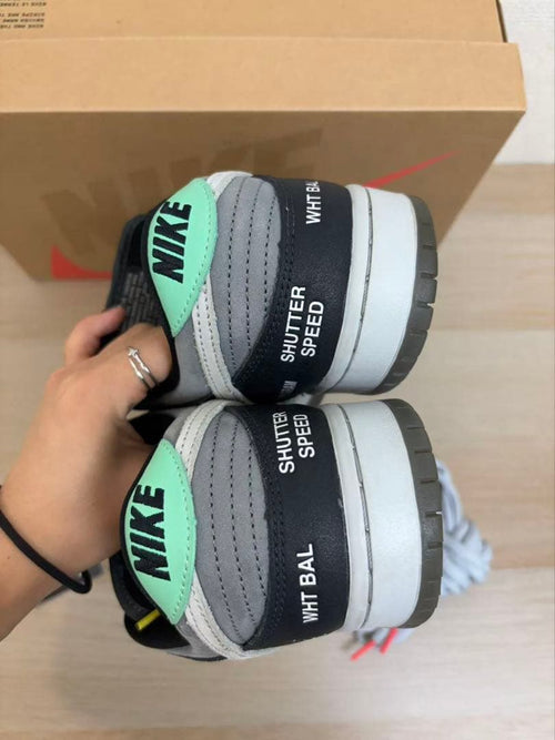 Nike Sb Sneakers Dunk Low Pro "Vx1000 Camcorder"