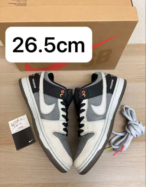 Nike Sb Sneakers Dunk Low Pro "Vx1000 Camcorder"