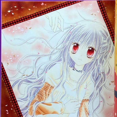 Illustration Collections