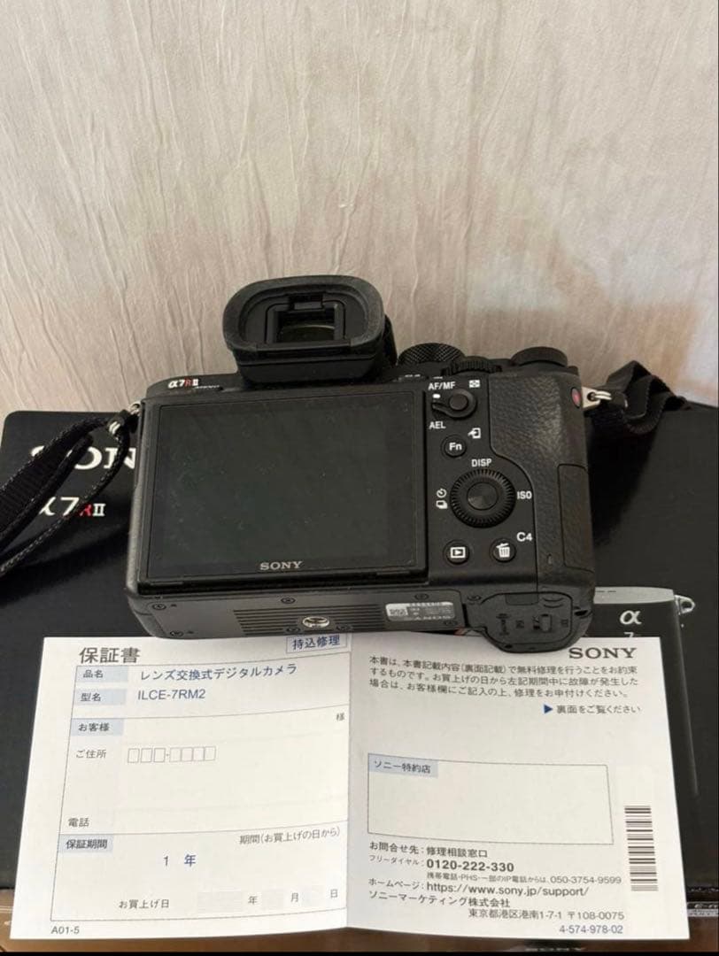 Sony Mirrorless Interchangeable Lips 7 Rii