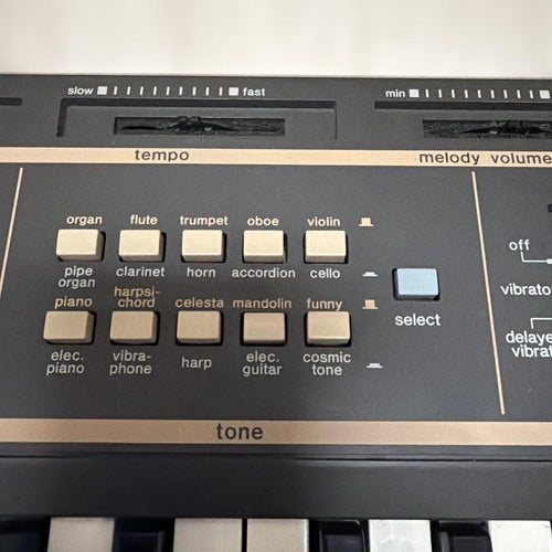 Casio Analog Synthesizers Mt-100