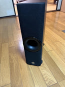 Speakers Yamaha Ns-Wsw120