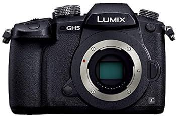 Digital Slr Gh5 Dc-Gh5-K