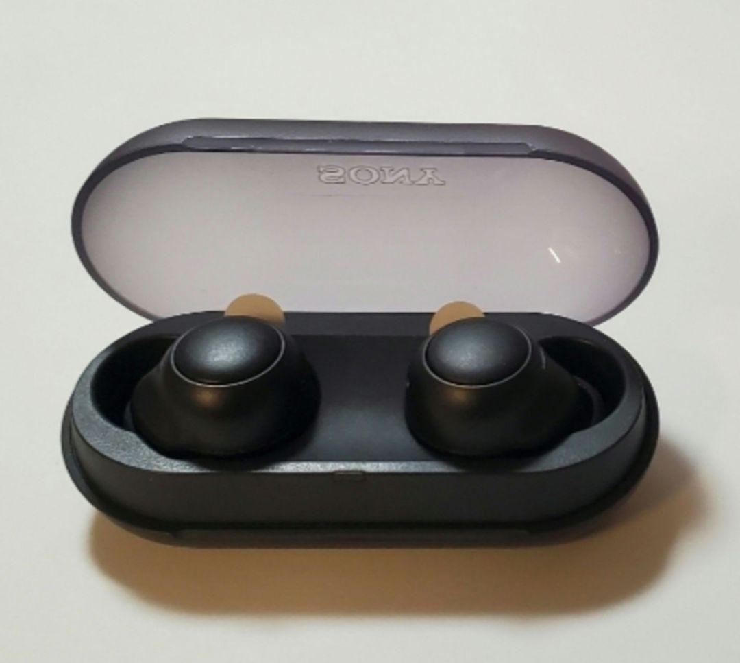 Sony Wireless Earphones Wf-C500