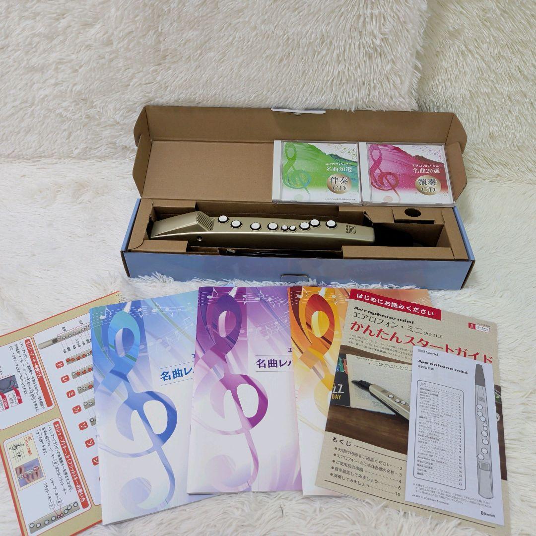 Roland Other Aerophone Mini Ae-01U