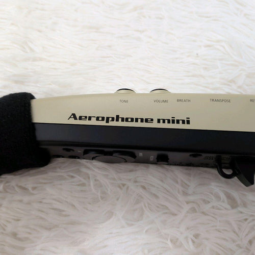 Roland Other Aerophone Mini Ae-01U