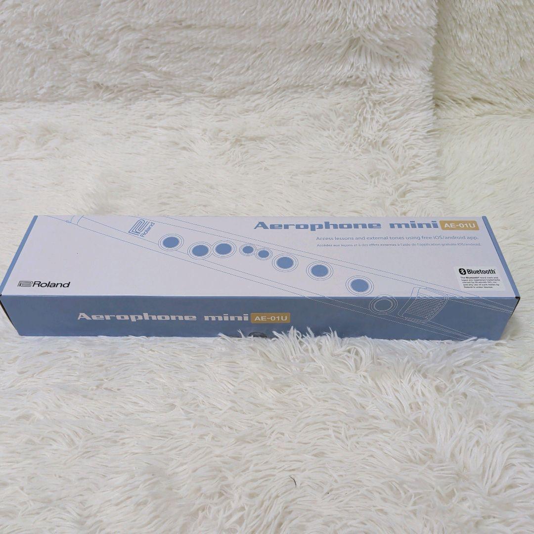Roland Other Aerophone Mini Ae-01U