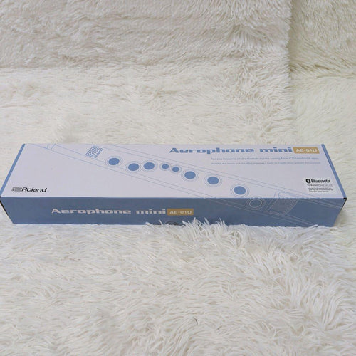 Roland Other Aerophone Mini Ae-01U