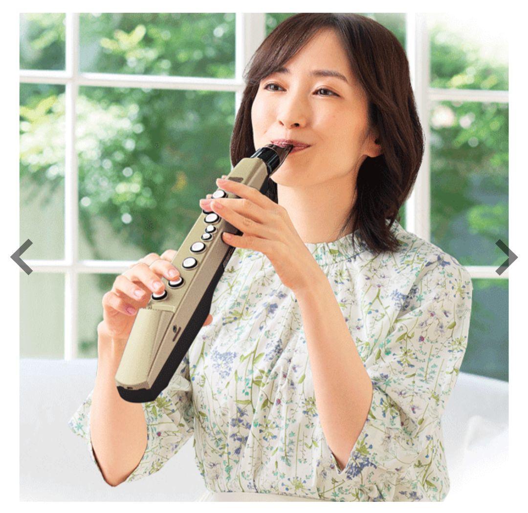 Roland Other Aerophone Mini Ae-01U