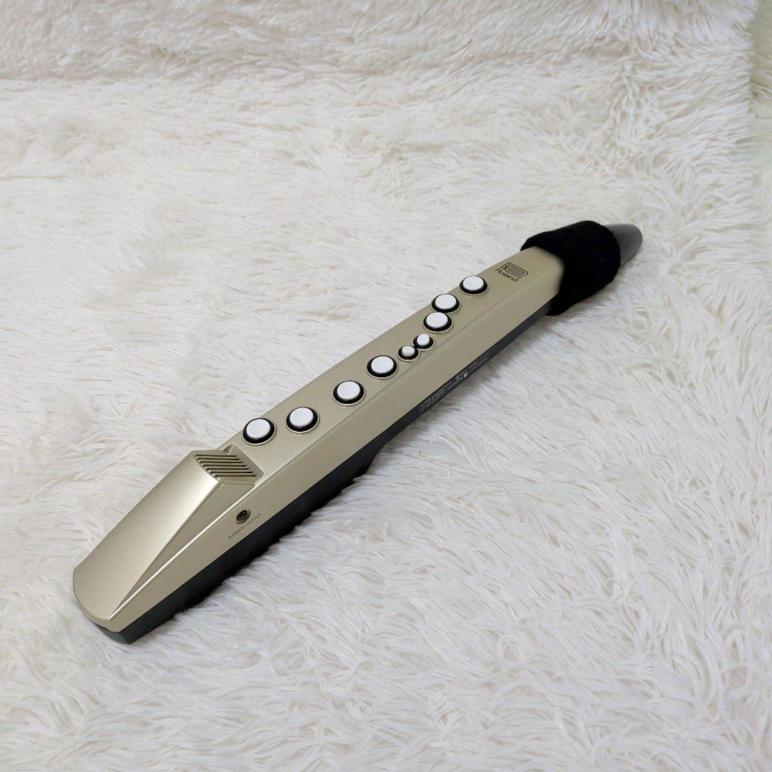 Roland Other Aerophone Mini Ae-01U