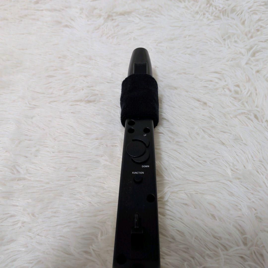 Roland Other Aerophone Mini Ae-01U