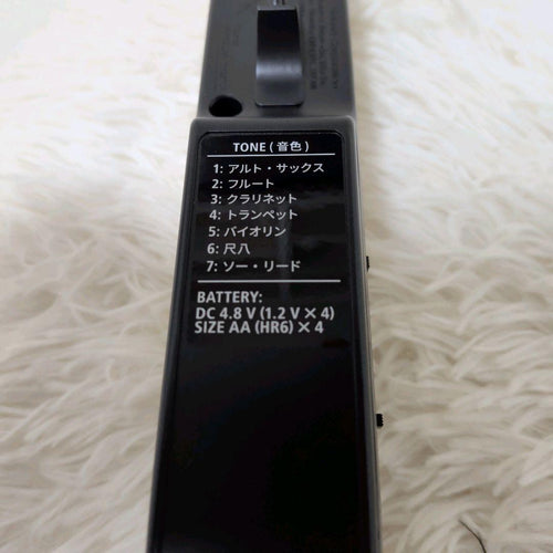 Roland Other Aerophone Mini Ae-01U