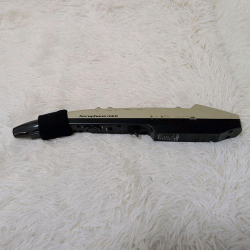 Roland Other Aerophone Mini Ae-01U