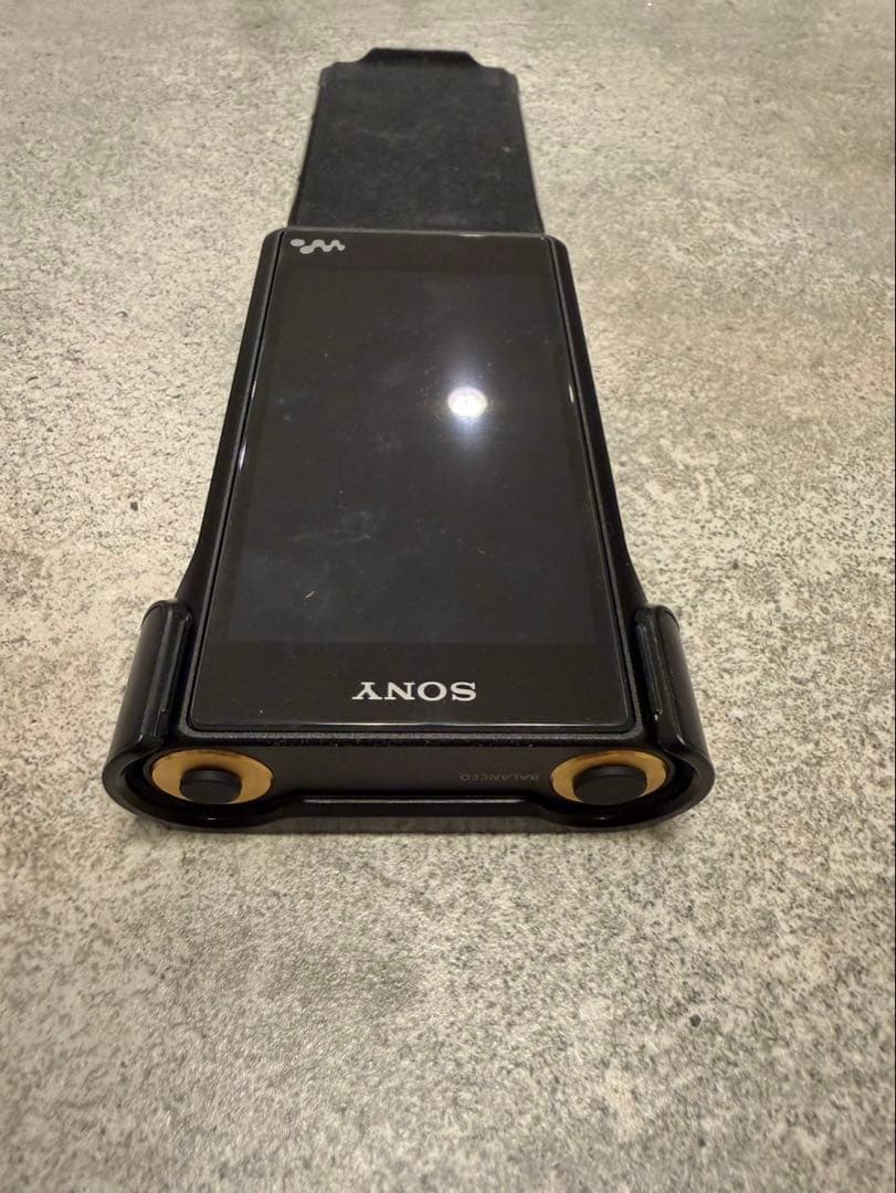 Sony Digital Audio Player Nw-Wm1A