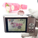 Panasonic Compact Digital Cameras Lumix Dmc-Fx30