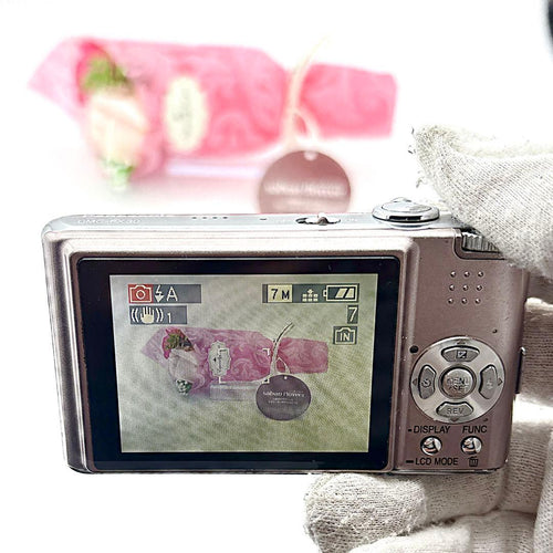 Panasonic Compact Digital Cameras Lumix Dmc-Fx30