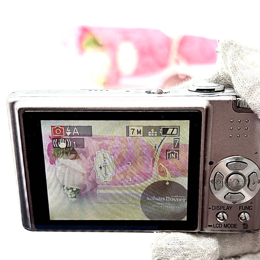 Panasonic Compact Digital Cameras Lumix Dmc-Fx30