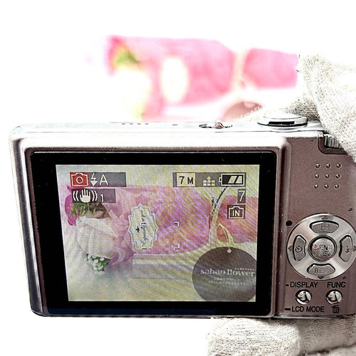 Panasonic Compact Digital Cameras Lumix Dmc-Fx30