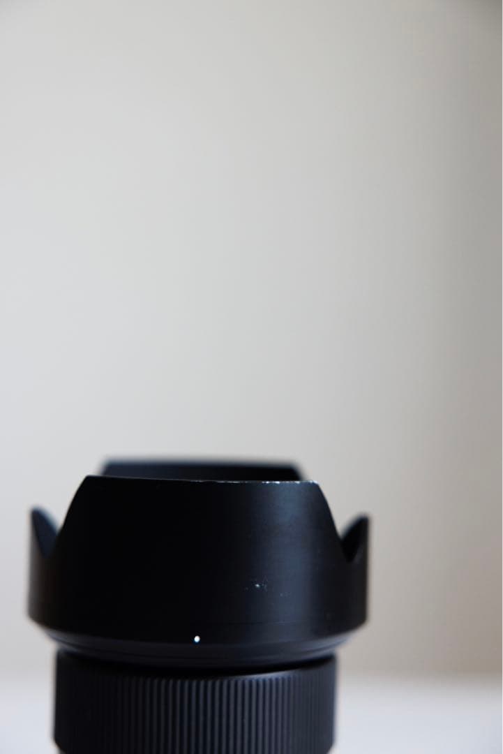 Leica Lens (Zoom) Vario Elmarit Sl 24-70Mm F2.8