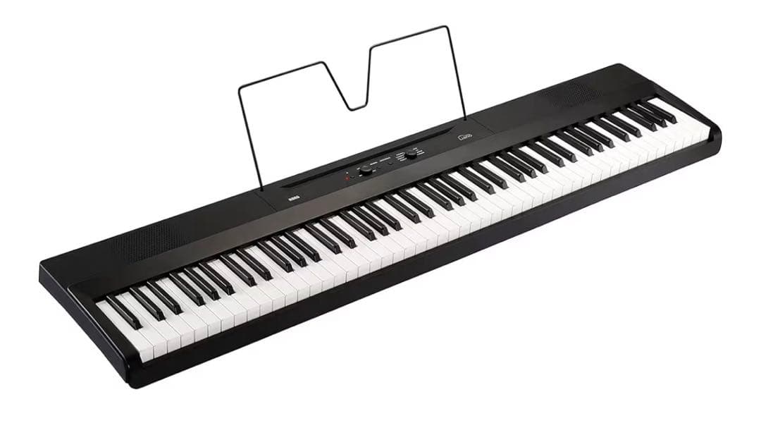 Korg Keyboards Digital Pianos /Liano88