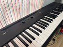 Korg Keyboards Digital Pianos /Liano88