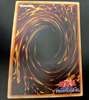 Yu-Gi-Oh! Ocg Duel Monsters (Japanese) The Fallen Virtuous