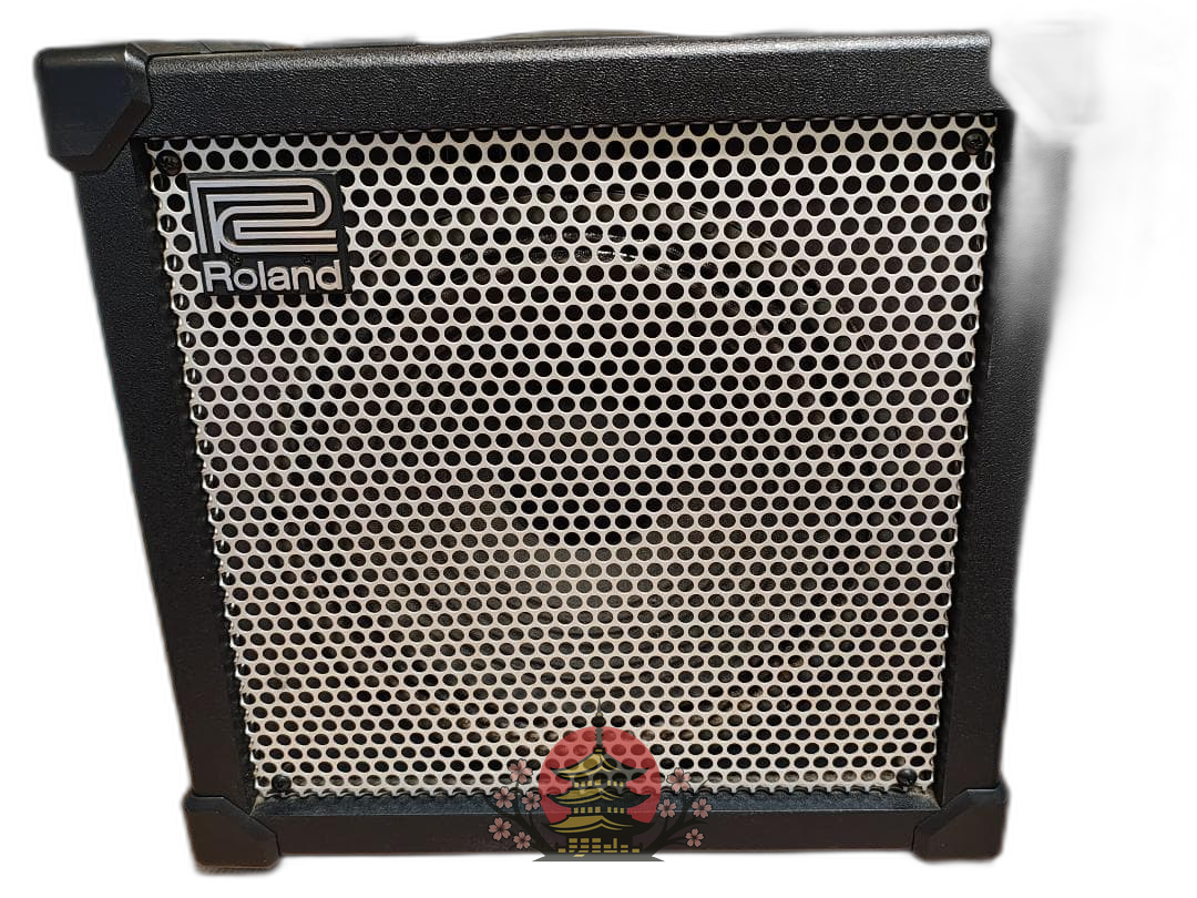 Roland Guitar Amplifier Cube 80 Xl Cosm