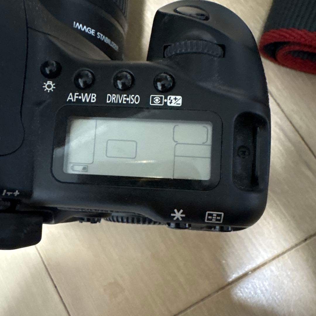 Canon Digital Slrs Ds126131