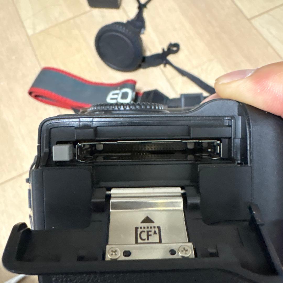 Canon Digital Slrs Ds126131