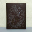 Illustrations