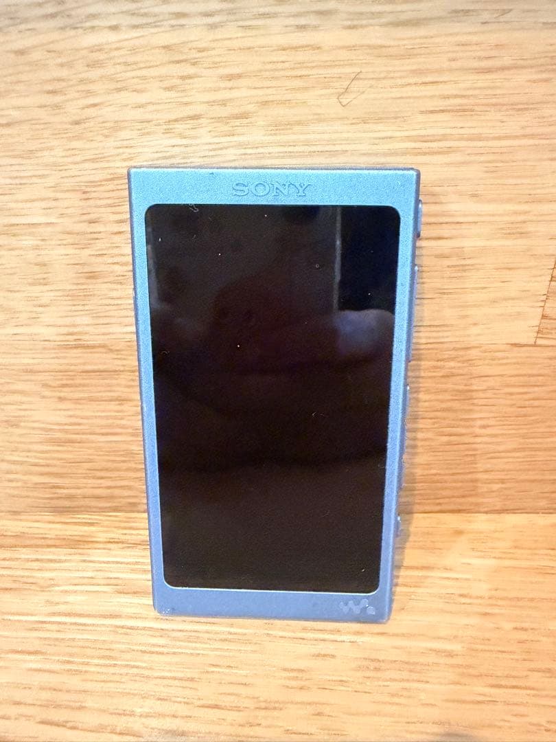 Sony Digital Audio Players Sonywalkman Nw-A45 16Gb Microsd8Gb