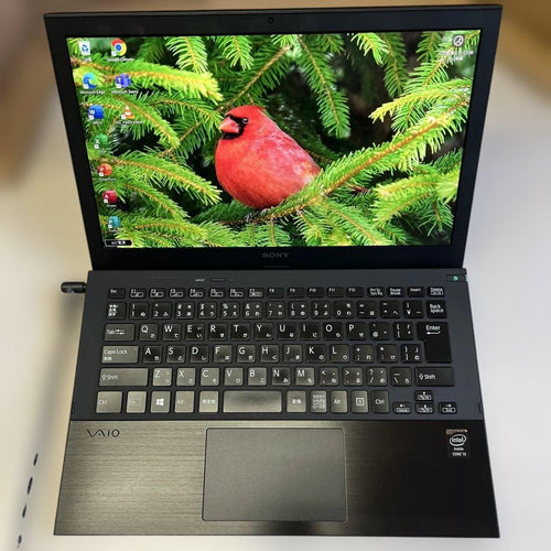 Sony Windows Laptops Win11 13.3 Fhd(1920 1080)